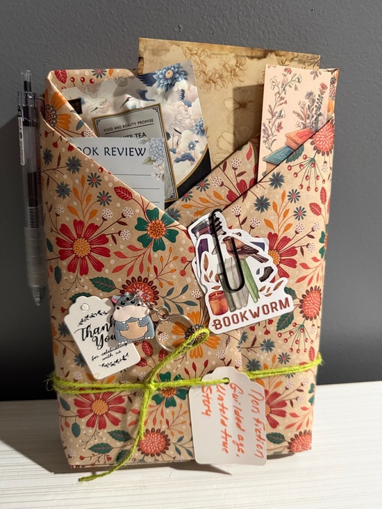 Other - Blind date with a book non-fiction Gilded Age and untold true story